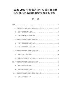 2026-2030中国磁铁组件和磁铁行业市场发展趋势与前景展望战略研究报告