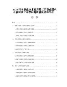 2026精准农业技术应用现状及农业现代化发展模式与农村电商发展机遇分析