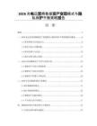 2026充电运营商数据资产变现模式与隐私保护平衡策略报告