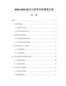 2026-2030硅钢项目可行性研究报告