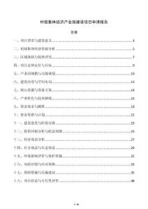 村级集体经济产业园建设项目申请报告