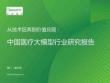 2026年中国医疗大模型行业研究报告 从技术狂奔到价值兑现