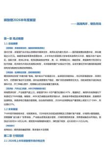 碳酸锂2026半年度展望：潮涌两岸，锂势昂扬