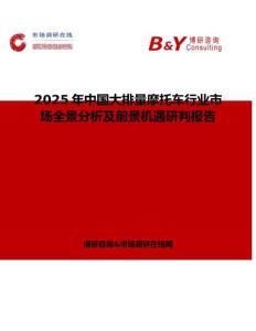 2025年中国大排量摩托车行业市场全景分析及前景机遇研判报告