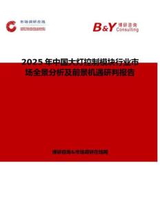 2025年中国大灯控制模块行业市场全景分析及前景机遇研判报告