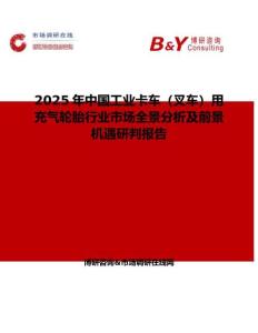 2025年中国工业卡车（叉车）用充气轮胎行业市场全景分析及前景机遇研判报告