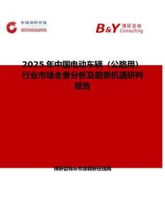 2025年中国电动车辆（公路用）行业市场全景分析及前景机遇研判报告