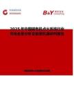 2025年中国磁电机点火系统行业市场全景分析及前景机遇研判报告