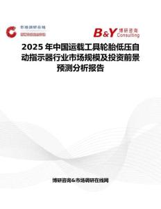 2025年中国运载工具轮胎低压自动指示器行业市场规模及投资前景预测分析报告