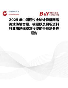 2025年中国通过全球计算机网络流式传输音频、视频以及视听资料行业市场规模及投资前景预测分析报告