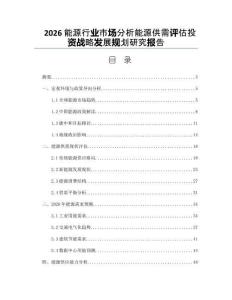 2026能源行业市场分析能源供需评估投资战略发展规划研究报告