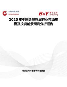 2025年中国金属锉屑行业市场规模及投资前景预测分析报告