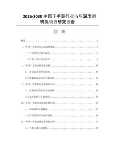 2026-2030中国干手器行业市场深度调研及调查研究报告