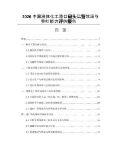 2026中国液体化工港口码头运营效率与吞吐能力评估报告