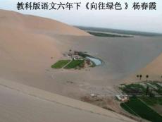 演示文稿六年下向往綠色.ppt
