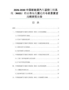 2026-2030中国新能源汽车遥控门锁系统（RKES）行业市场发展趋势与前景展望战略研究报告