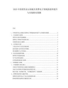 2025中国柔性显示面板在消费电子领域渗透率提升与市场格局预测.docx