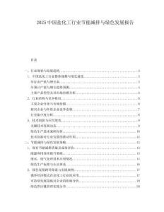 2025中国盐化工行业节能减排与绿色发展报告.docx