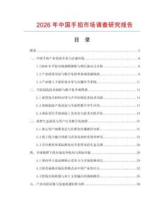 2026年中国手拍市场调查研究报告