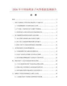 2026年中国仙鹤童子风筝数据监测报告.docx