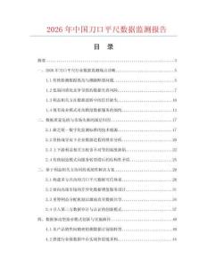 2026年中国刀口平尺数据监测报告.docx