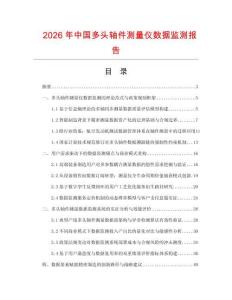 2026年中国多头轴件测量仪数据监测报告.docx