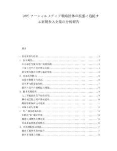 2025ソーシャルメディア戦略団体の拡張に追随する新規参入企業の分析報告.docx