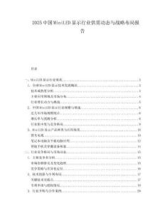 2025中国MiniLED显示行业供需动态与战略布局报告.docx