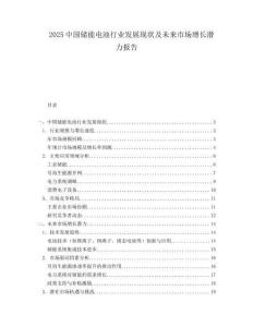2025中国储能电池行业发展现状及未来市场增长潜力报告.docx