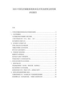 2025中国光伏储能系统商业化应用及政策支持效果评估报告.docx