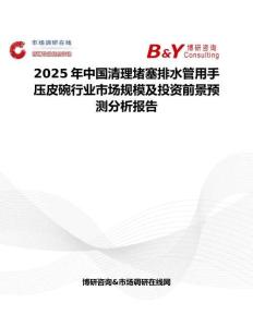 2025年中国清理堵塞排水管用手压皮碗行业市场规模及投资前景预测分析报告