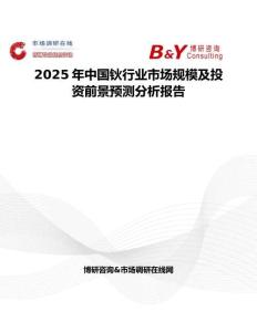 2025年中国钬行业市场规模及投资前景预测分析报告