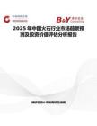 2025年中国火石行业市场前景预测及投资价值评估分析报告
