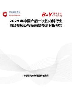 2025年中国产后一次性内裤行业市场规模及投资前景预测分析报告