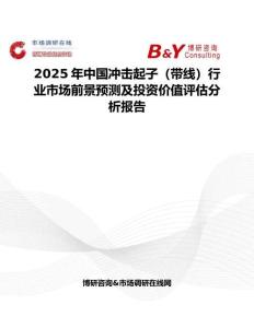 2025年中国冲击起子（带线）行业市场前景预测及投资价值评估分析报告