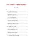 2026年中国滑行卡通车数据监测报告.docx