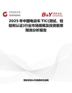 2025年中国电动车TIC(测试、检验和认证)行业市场规模及投资前景预测分析报告