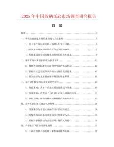 2026年中国胶柄汤匙市场调查研究报告