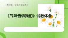 气味告诉我们试教体会