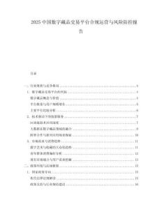 2025中国数字藏品交易平台合规运营与风险防控报告.docx