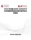 2025年中国GDDR SDRAM行业市场前景预测及投资价值评估分析报告