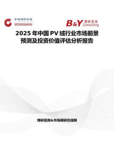 2025年中国PV绒行业市场前景预测及投资价值评估分析报告