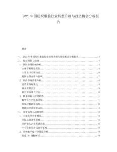 2025中国纺织服装行业转型升级与投资机会分析报告.docx