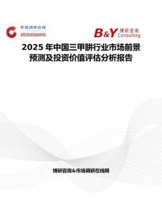 2025年中国三甲肼行业市场前景预测及投资价值评估分析报告