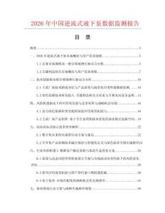 2026年中国逆流式液下泵数据监测报告.docx