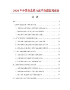 2026年中国数显扭力起子数据监测报告.docx