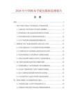 2026年中国帆布手提包数据监测报告.docx
