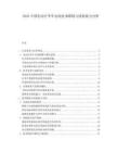 2025中国电动行李车电池技术路线与续航能力分析.docx