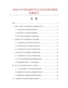 2026年中国电锅炉用大功率电热管数据监测报告.docx