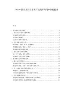 2025中国美术用品零售终端变革与用户体验提升.docx